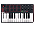 AKAI MPK Mini MKII Limited Edition - Tastiera MIDI (Nero)