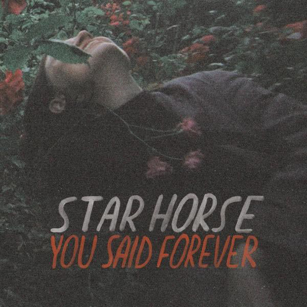 Star (Vinyl) Said You - Horse Forever -