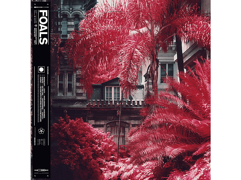 Foals - Everything Not Saved Will Be Lost Part 1 Vinyl