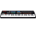 AKAI MPK261 - Contrôleur de clavier (Noir)