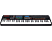 AKAI MPK261 - Keyboard Controller (Schwarz)