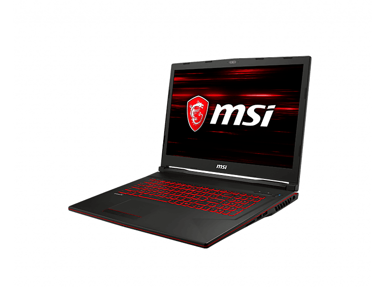 Portátil gaming | MSI GL73 8SD-046XES 17.3"