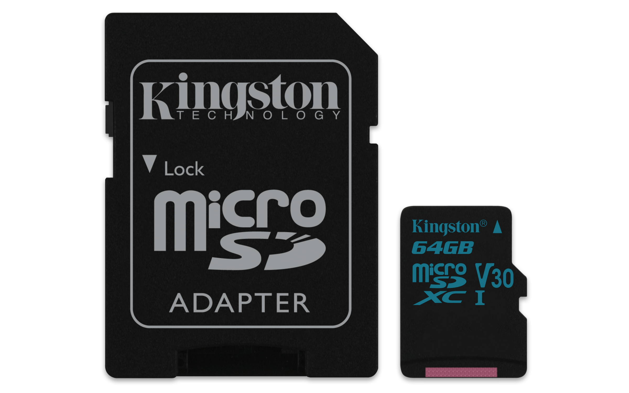 KINGSTON Canvas Go!