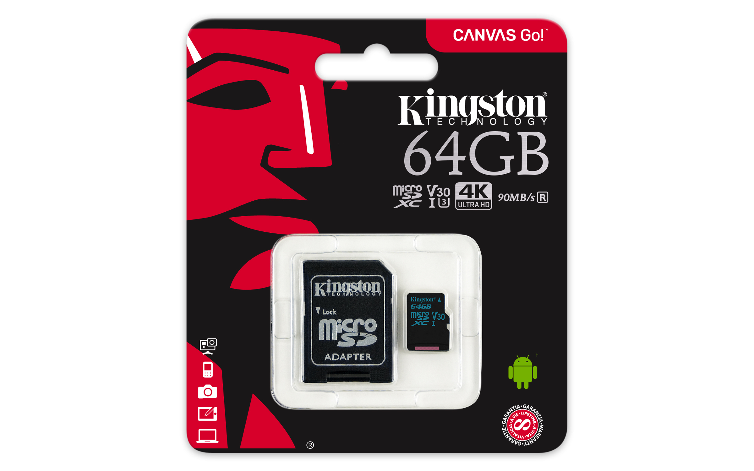 KINGSTON Canvas Go!