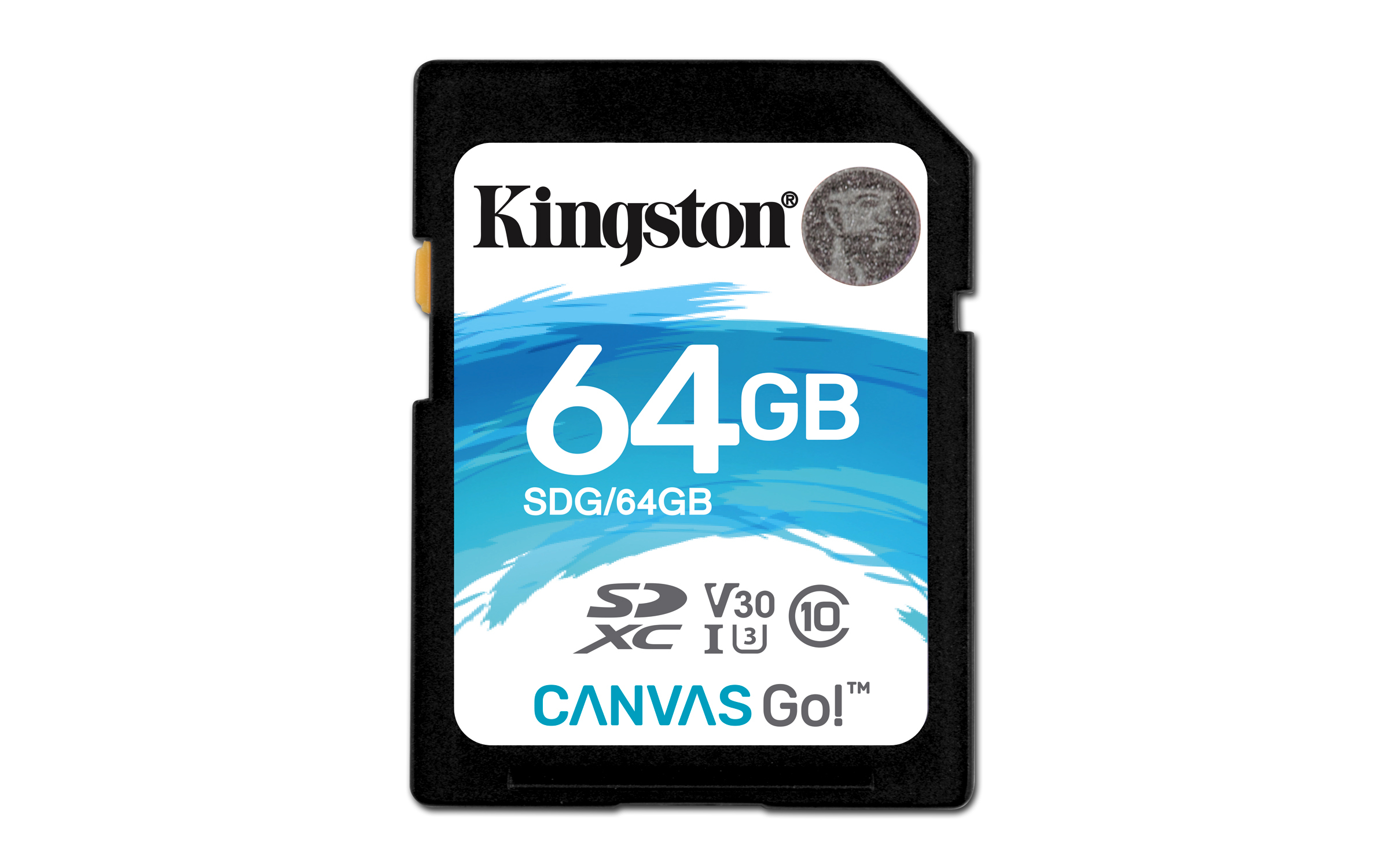 KINGSTON Canvas Go!