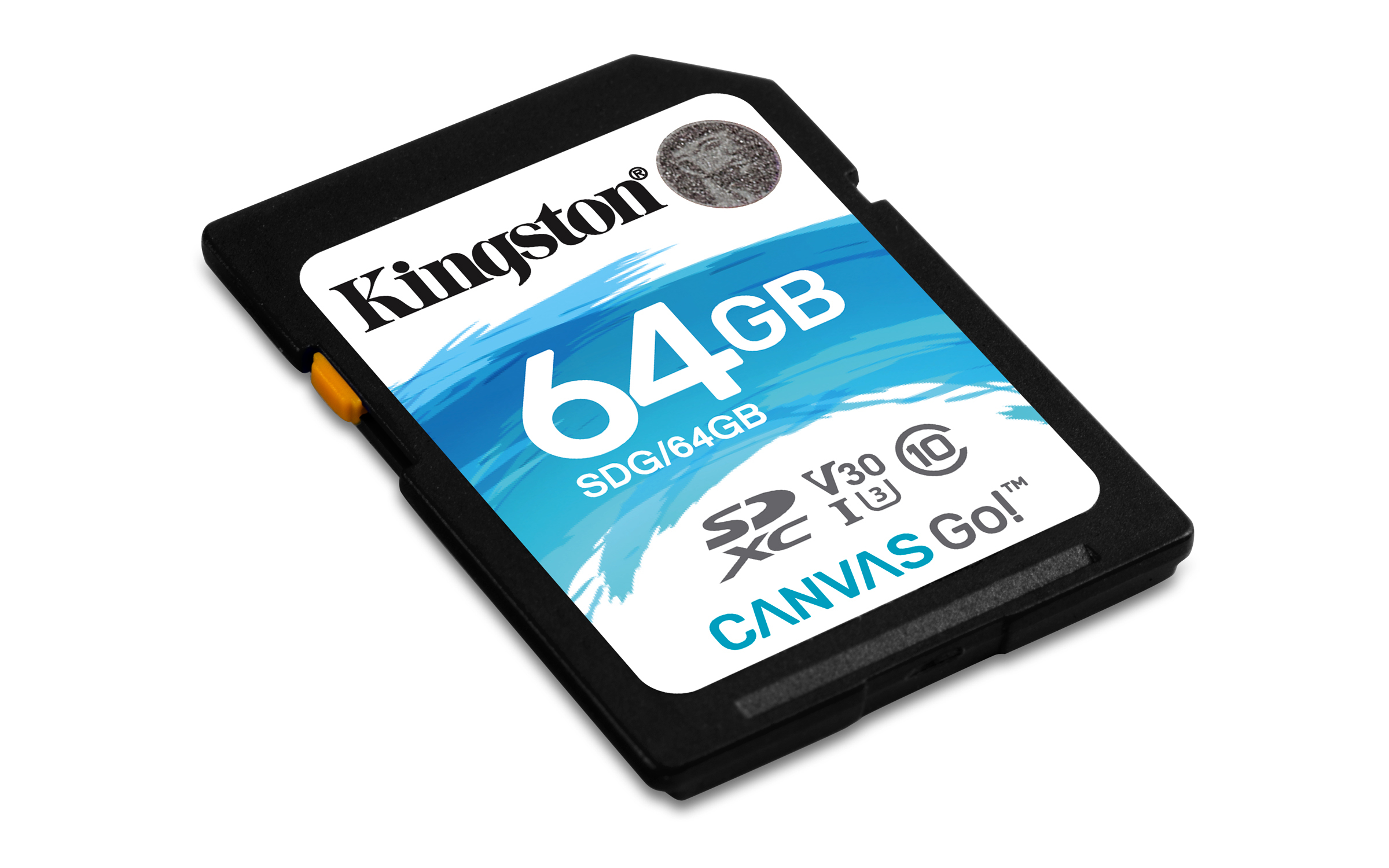 KINGSTON Canvas Go!