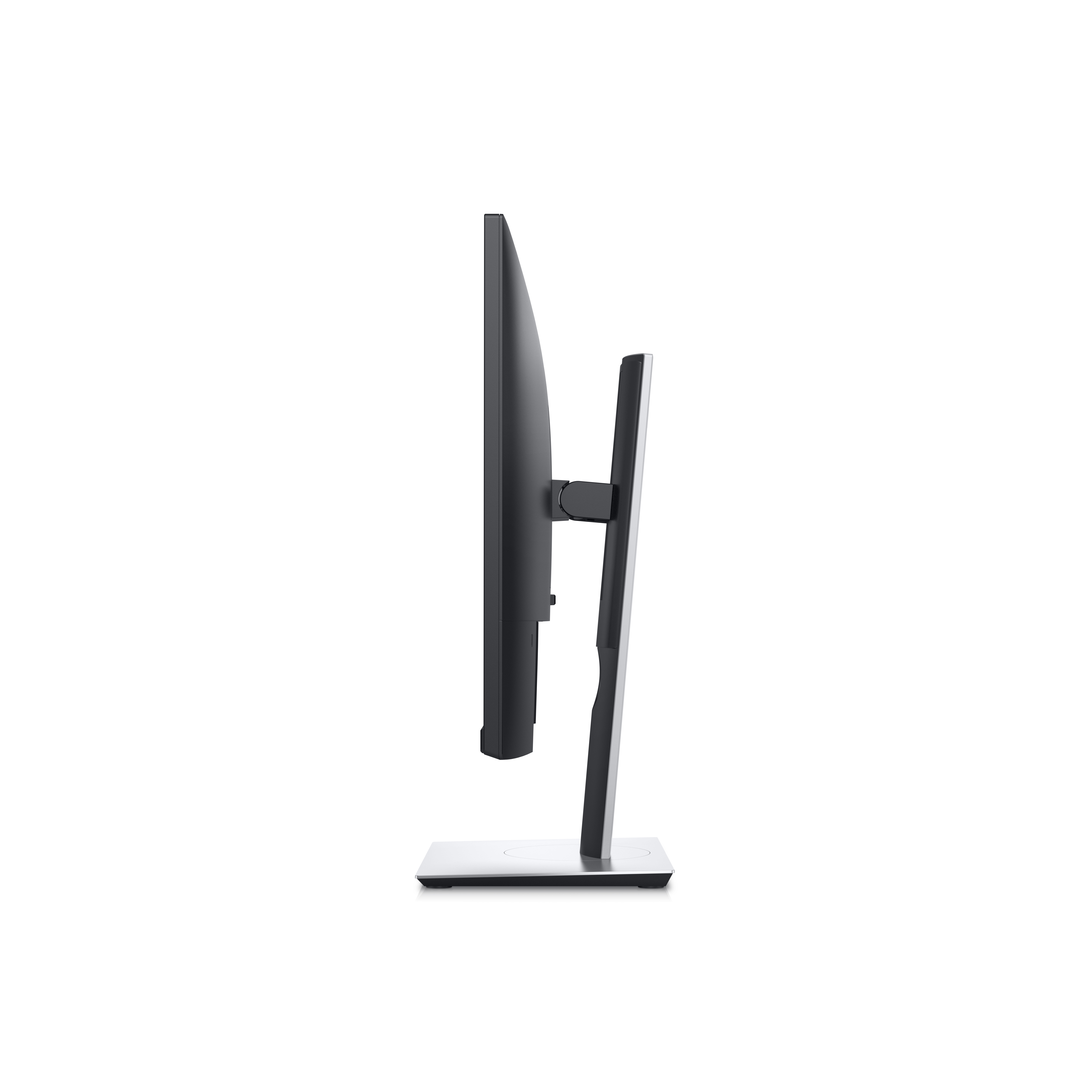 DELL P2319H