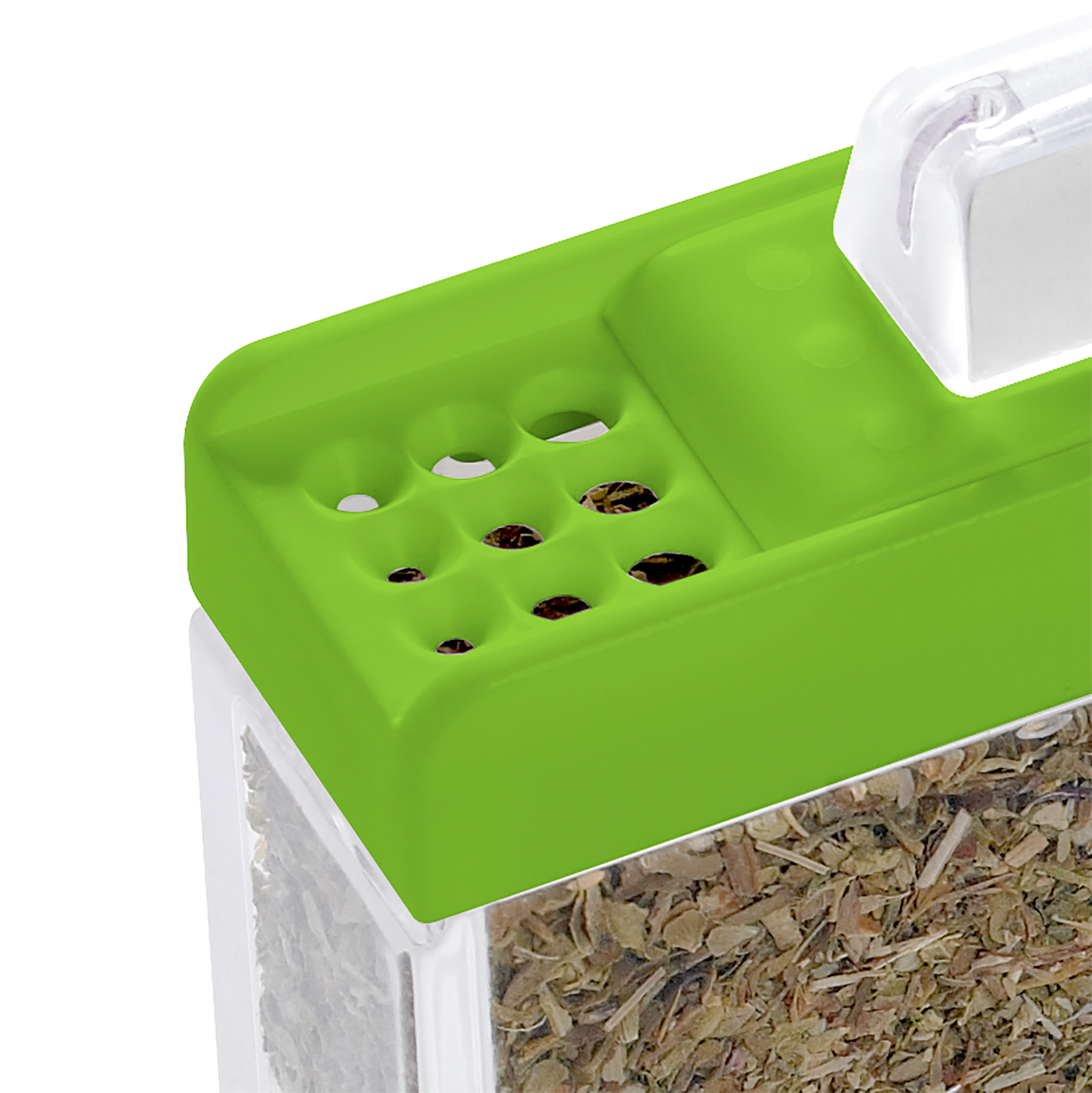 EMSA 508458 Spice Box Gewürzkartei mit 6 Gewürzen Transparent/Grün