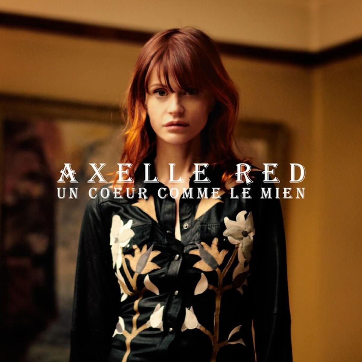 Pochette d'album avec une femme en chemise sombre. Texte en blanc et marron.