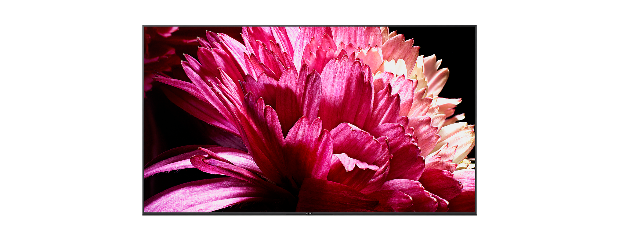 SONY Fernseher KD-55XG9505 55 Zoll, 4K Ultra HD LED Smart Android TV