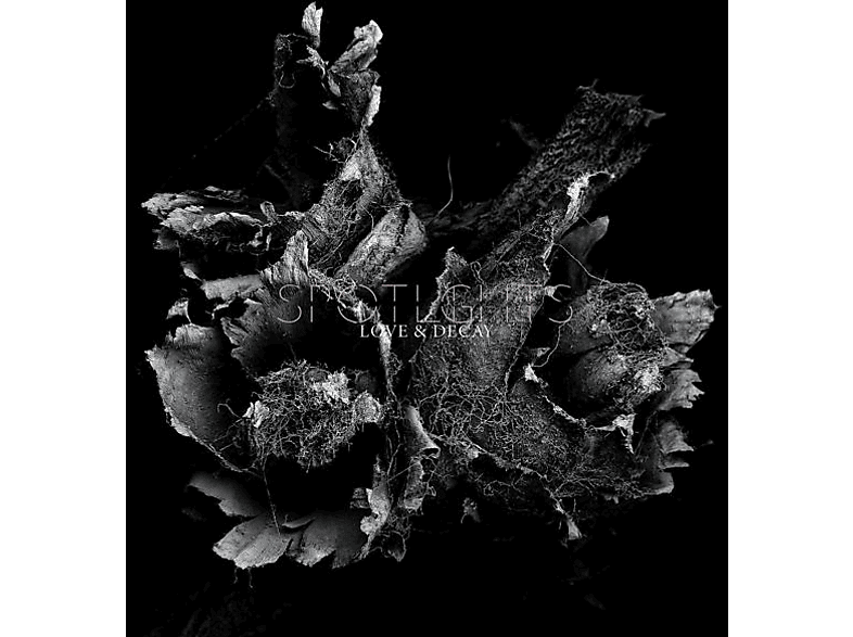 Spotlights - Love & Decay (2LP) - (Vinyl)