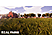 Real Farm: Das echte Bauernhof Erlebnis - Xbox One - Tedesco