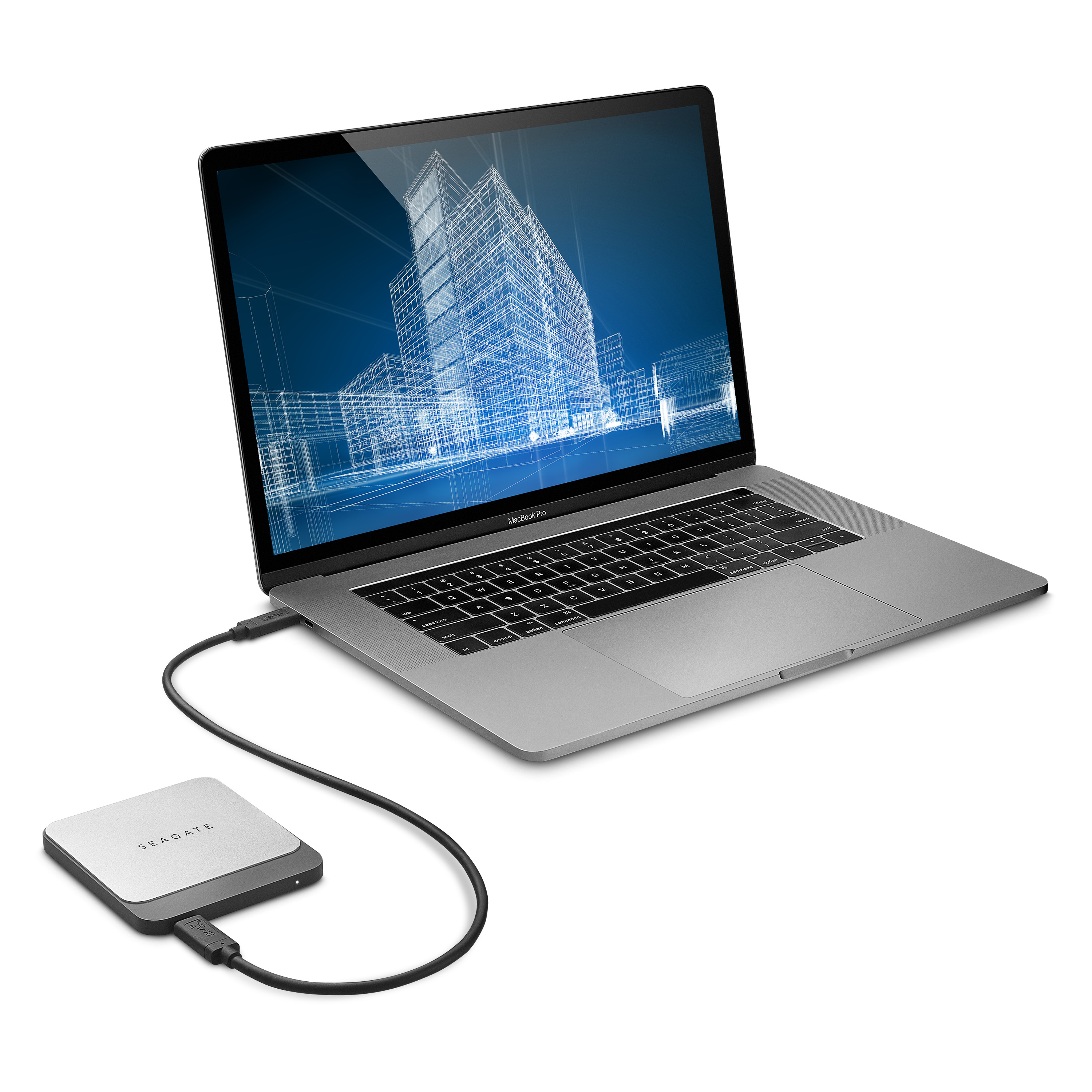 SEAGATE Fast SSD Festplatte, 1 TB SSD, 2,5 Zoll, extern, Silber/Schwarz