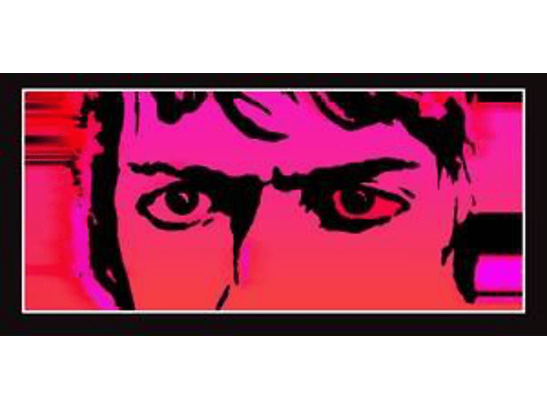 Delicate Steve - Till I Burn Up - (CD)