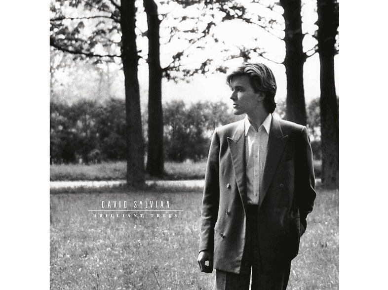 David Sylvian - Brilliant Trees Vinyl