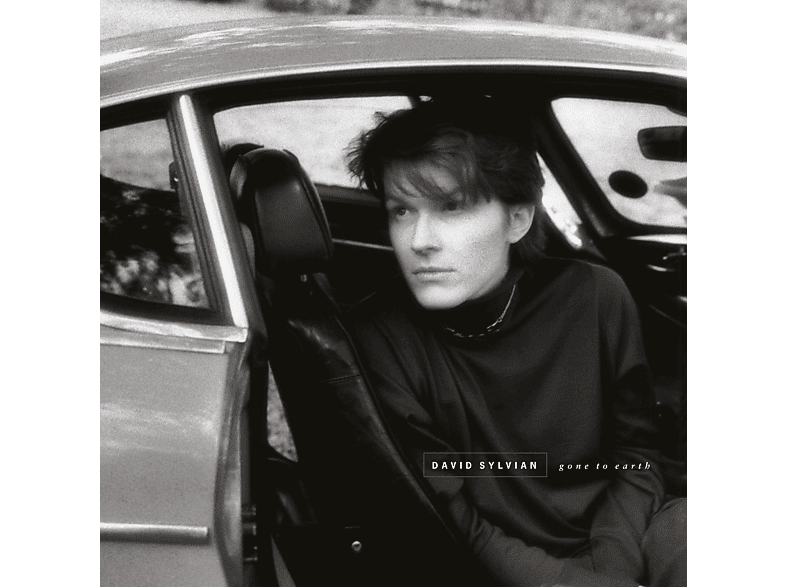 David Sylvian - Gone To Earth Vinyl