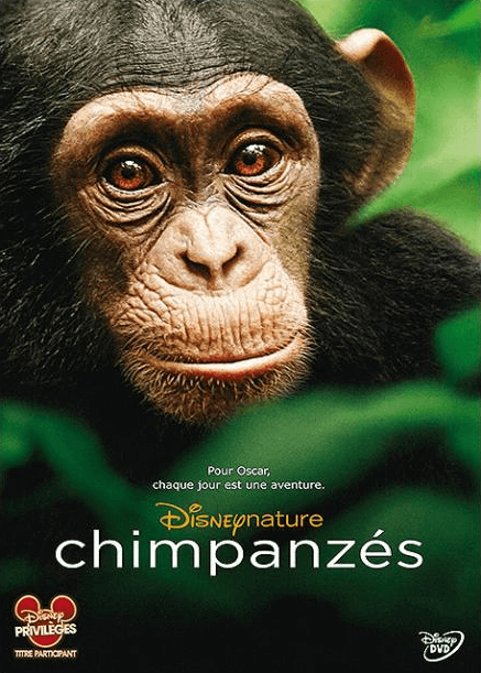 Close-up van chimpansee baby, groene bladeren achtergrond, Disney natuurfilm cover, Franse tekst.