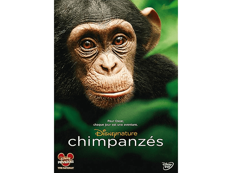 Chimpanzés - DVD