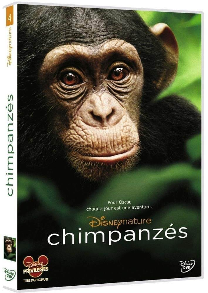 DVD-hoesje van een chimpansee.
