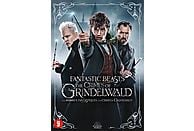 Les Animaux Fantastiques: Les Crimes de Grindelwald - DVD