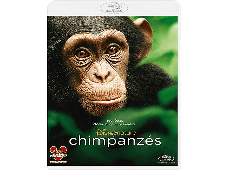 Chimpanzés - Blu-ray