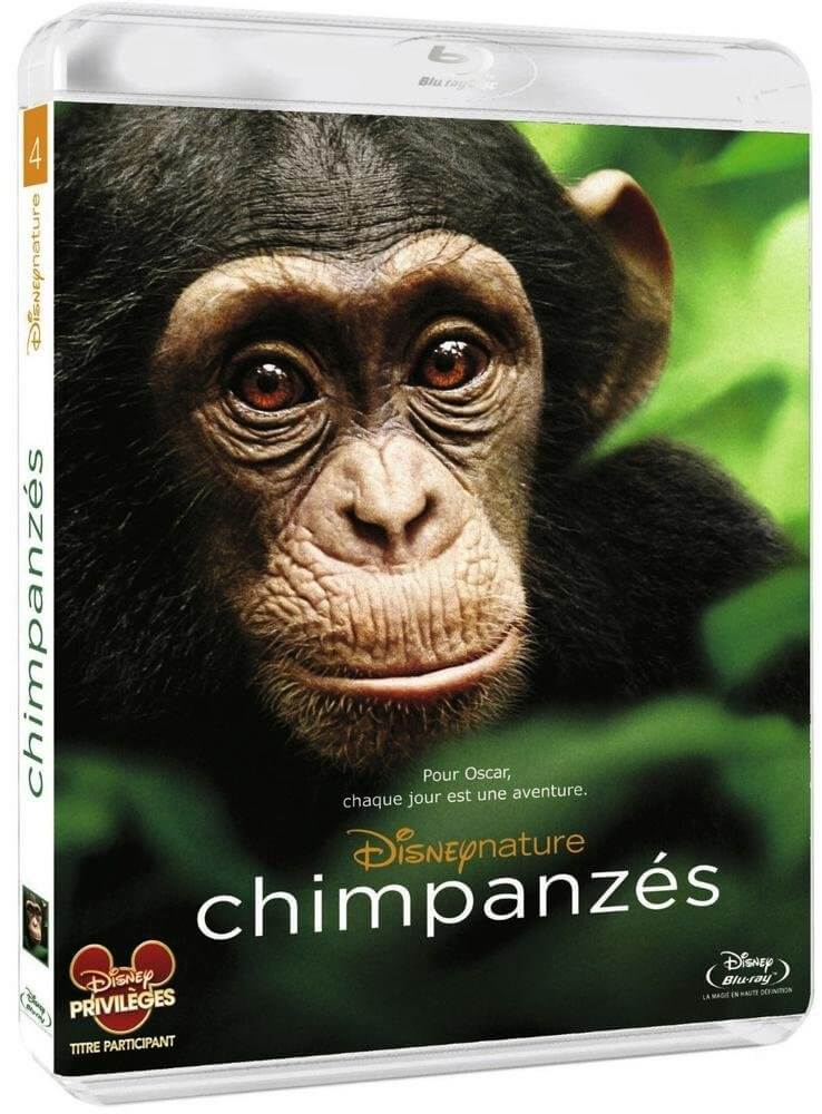 DVD case of "Chimpanzés". A chimpanzee on the cover. Disney logo and text are visible.