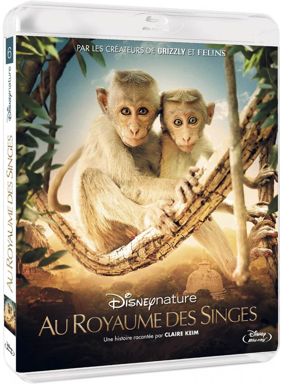 Blu-ray cover of the movie 'Au Royaume des Singes', with monkeys and a temple.