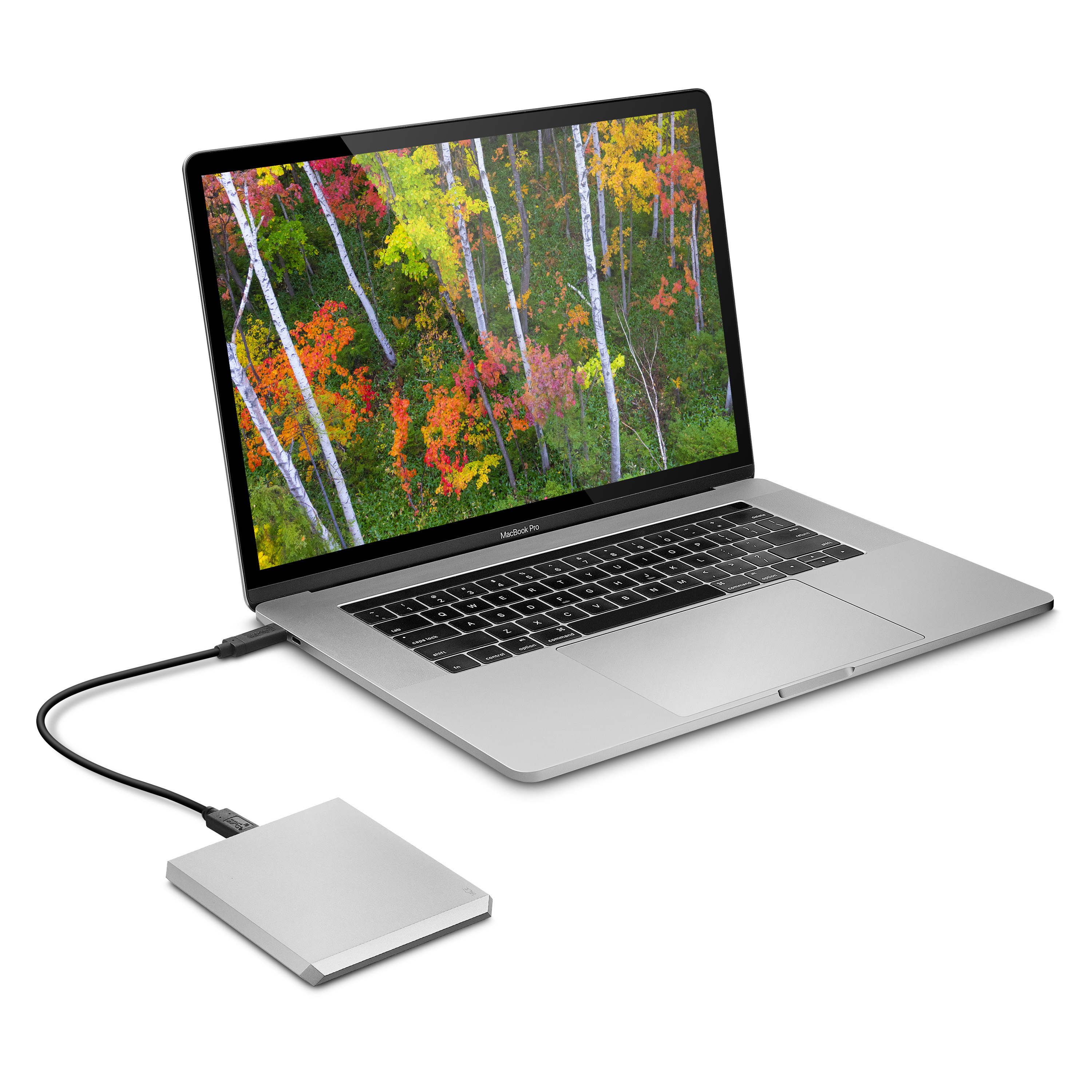Ein Laptop, der mit einer silbernen externen Festplatte verbunden ist und ein Waldbild zeigt.