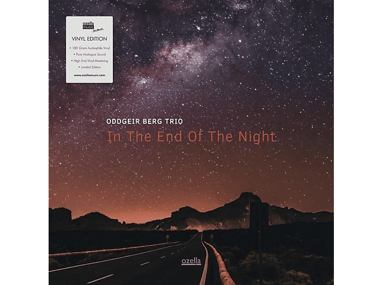 Oddgeir Berg Trio - IN THE END OF THE NIGHT  - (Vinyl)