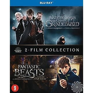 Fantastic Beasts 1+2 | Blu-ray