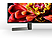 SONY KD-49XG9005 - TV (49 ", UHD 4K, LCD)