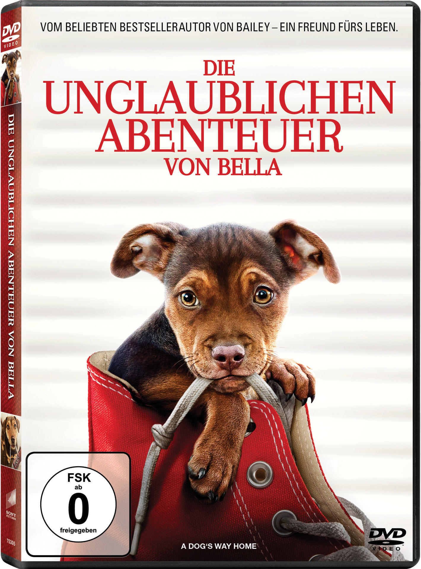 DVD-Cover von 'Die unglaublichen Abenteuer von Bella' mit Welpen im Schuh.