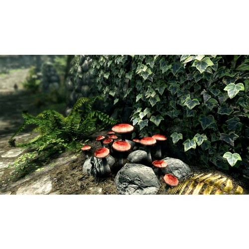 Hongos con sombreros rojos creciendo en rocas cubiertas de musgo, rodeados de plantas verdes e hiedra.