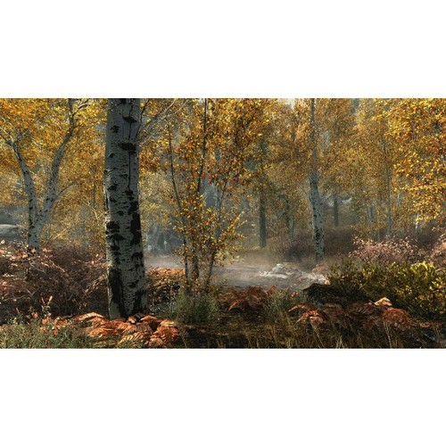 Una escena de bosque otoñal con árboles, hojas caídas y suelo brumoso. Los colores son cálidos y vibrantes.