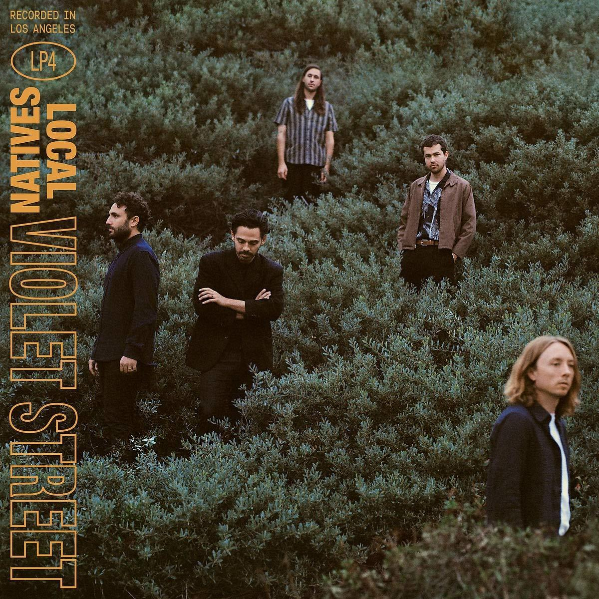 Albumhoes met vijf mannen in een veld, Local Natives, Violet Street, groene en blauwe kleuren.