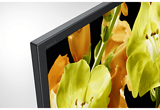 TV LED 65" - Sony KD-65XG8096, Ultra HD 4K, HDR, Android 8.0 Oreo, Triluminos, Asistente de Google