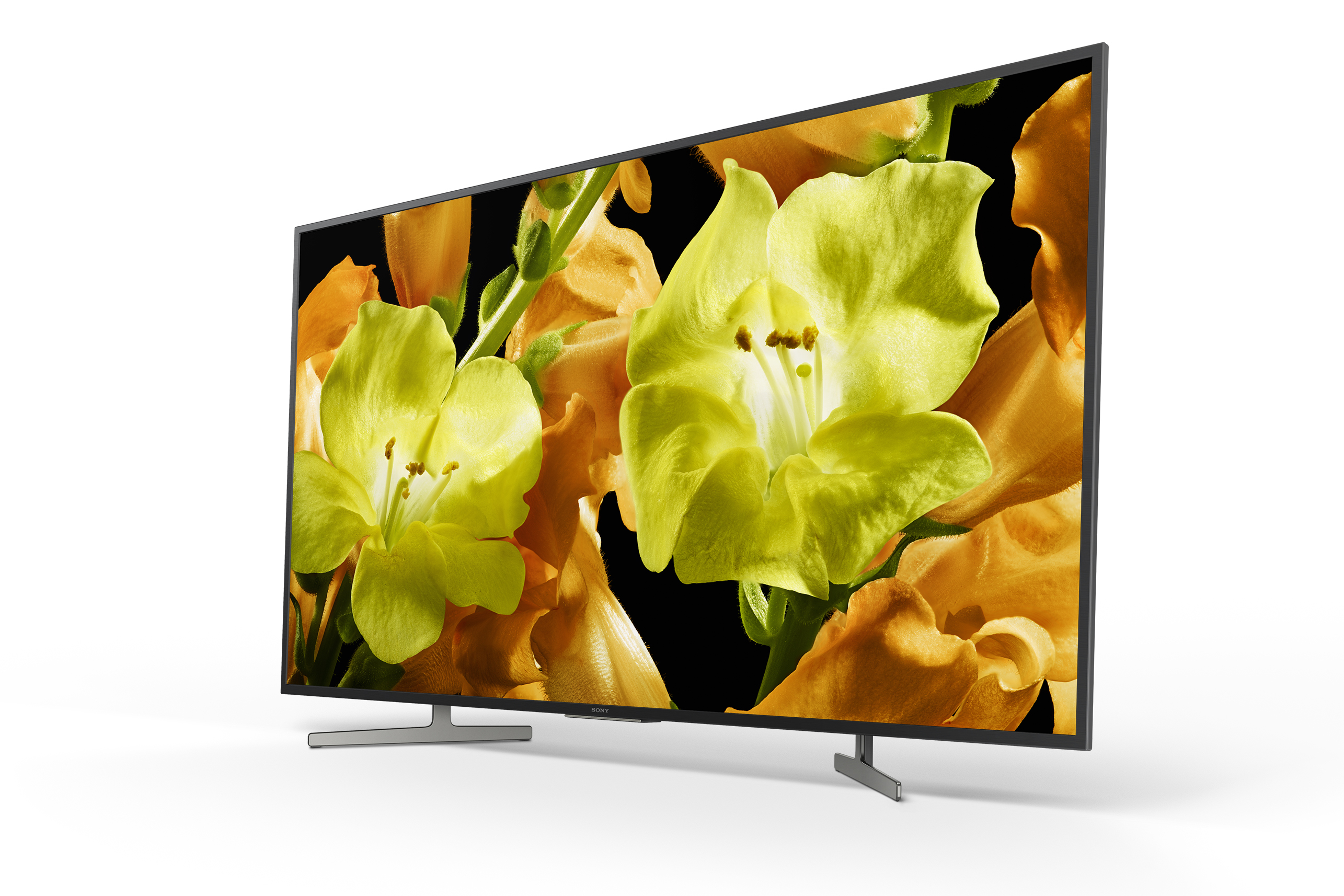 TV LED 55" - Sony KD-55XG8196, Ultra HD 4K, HDR, Android 8.0 Oreo, Triluminos, Asistente de Google, Negro