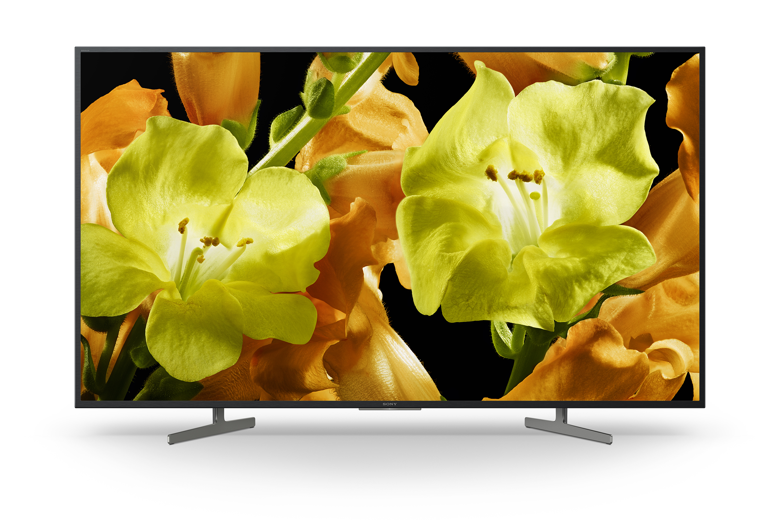 TV LED 55" - Sony KD-55XG8196, Ultra HD 4K, HDR, Android 8.0 Oreo, Triluminos, Asistente de Google, Negro