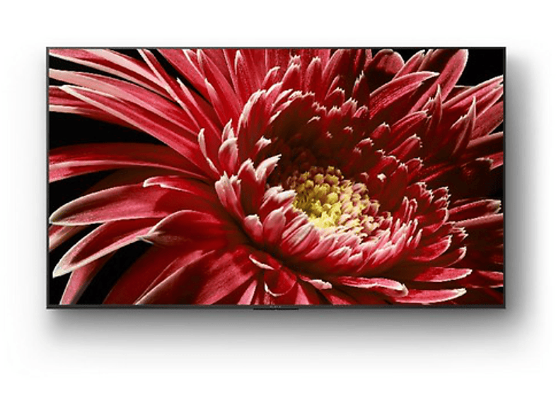 TV LED 65" - Sony KD-65XG8596 Ultra HD 4K HDR, Android 8.0 Oreo, X1, Triluminos, Asistente de Google