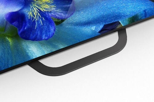 Primer plano de un asa de TV, con una imagen de flor azul visible en la pantalla.