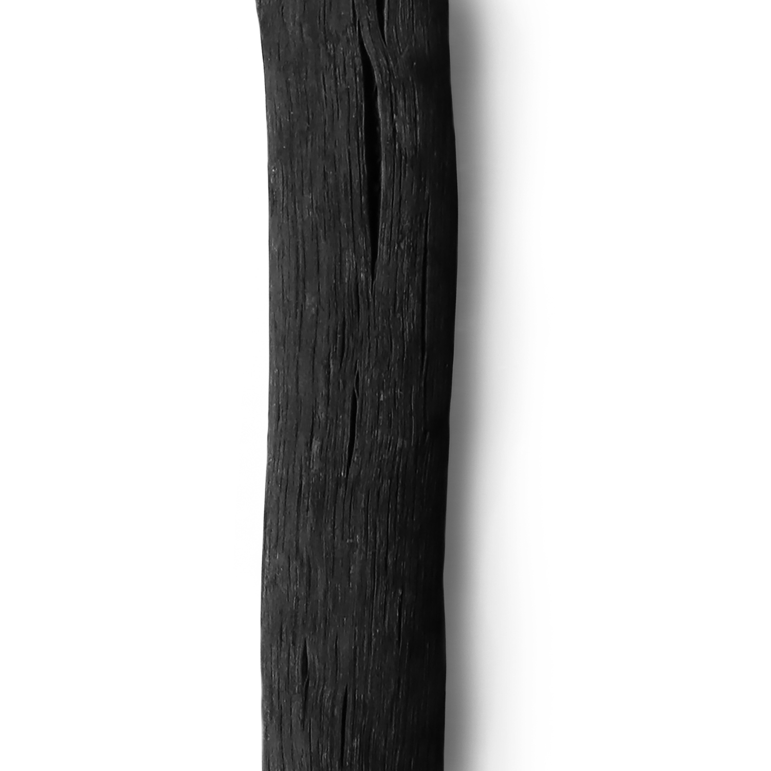 Ein einzelnes Stück verkohltes Holz vor weißem Hintergrund.
