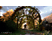 A Plague Tale - Innocence PlayStation 4 