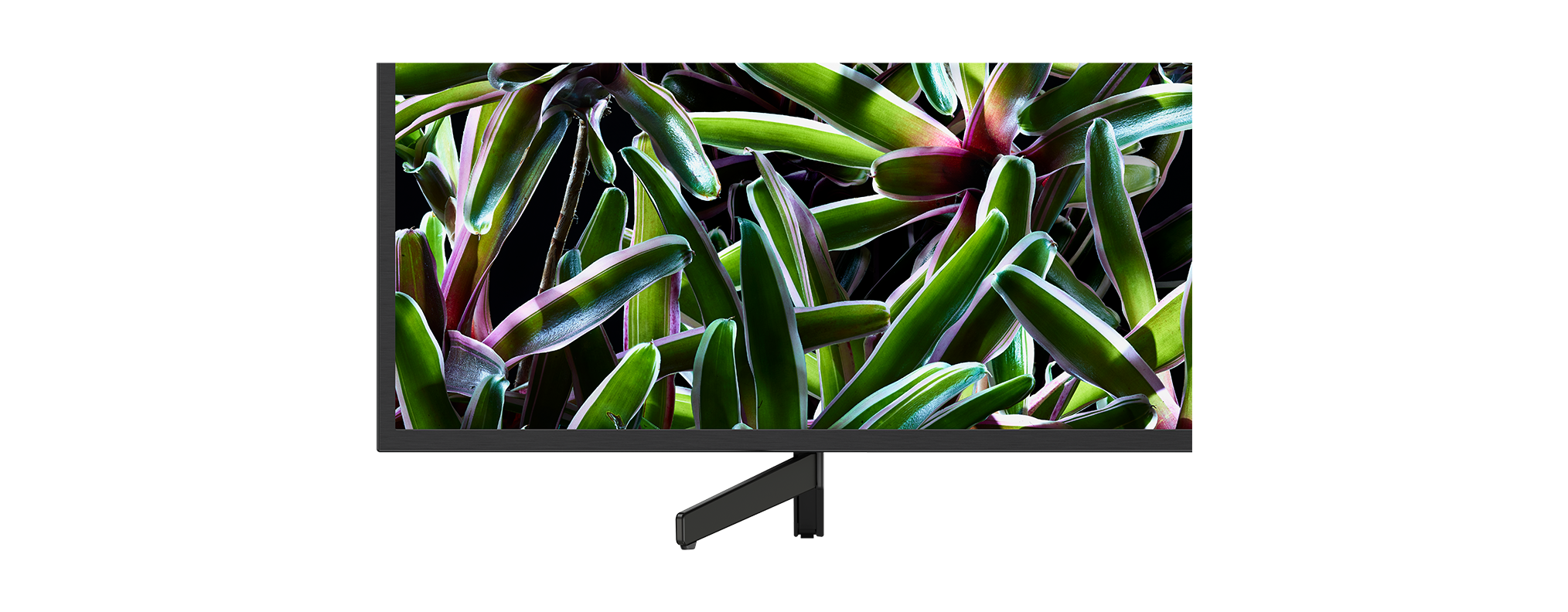 Ein moderner Monitor, der grünes und lila Pflanzenleben auf schwarzem Hintergrund anzeigt. Der Monitor hat einen Ständer.