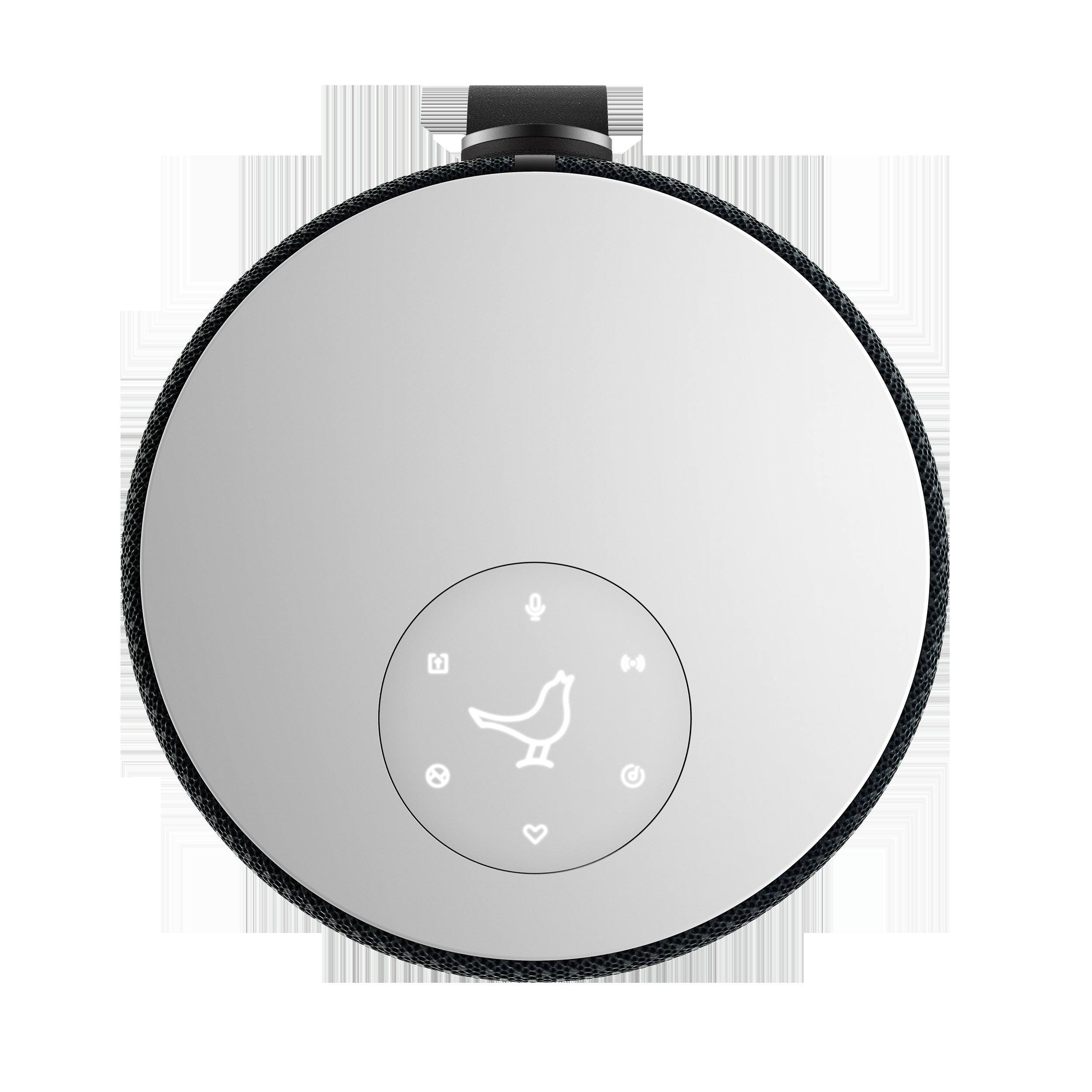 LIBRATONE Libratone Zipp 2 Multiroom Lautsprecher Bundle, Frosty Grey & Stormy Black Lautsprecher App-steuerbar, Bluetooth, Schwarz & Grau