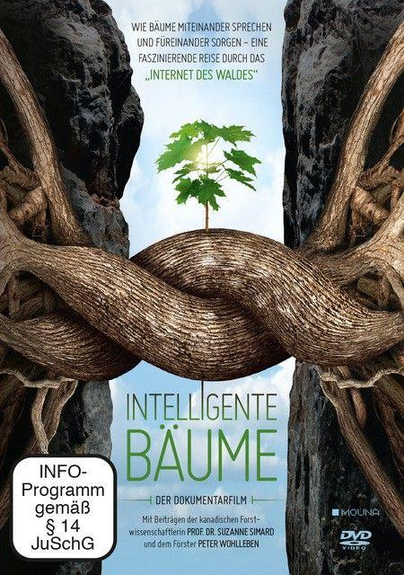 Buchcover mit verschlungenen Baumwurzeln und einem jungen Baum, mit Text auf Deutsch.