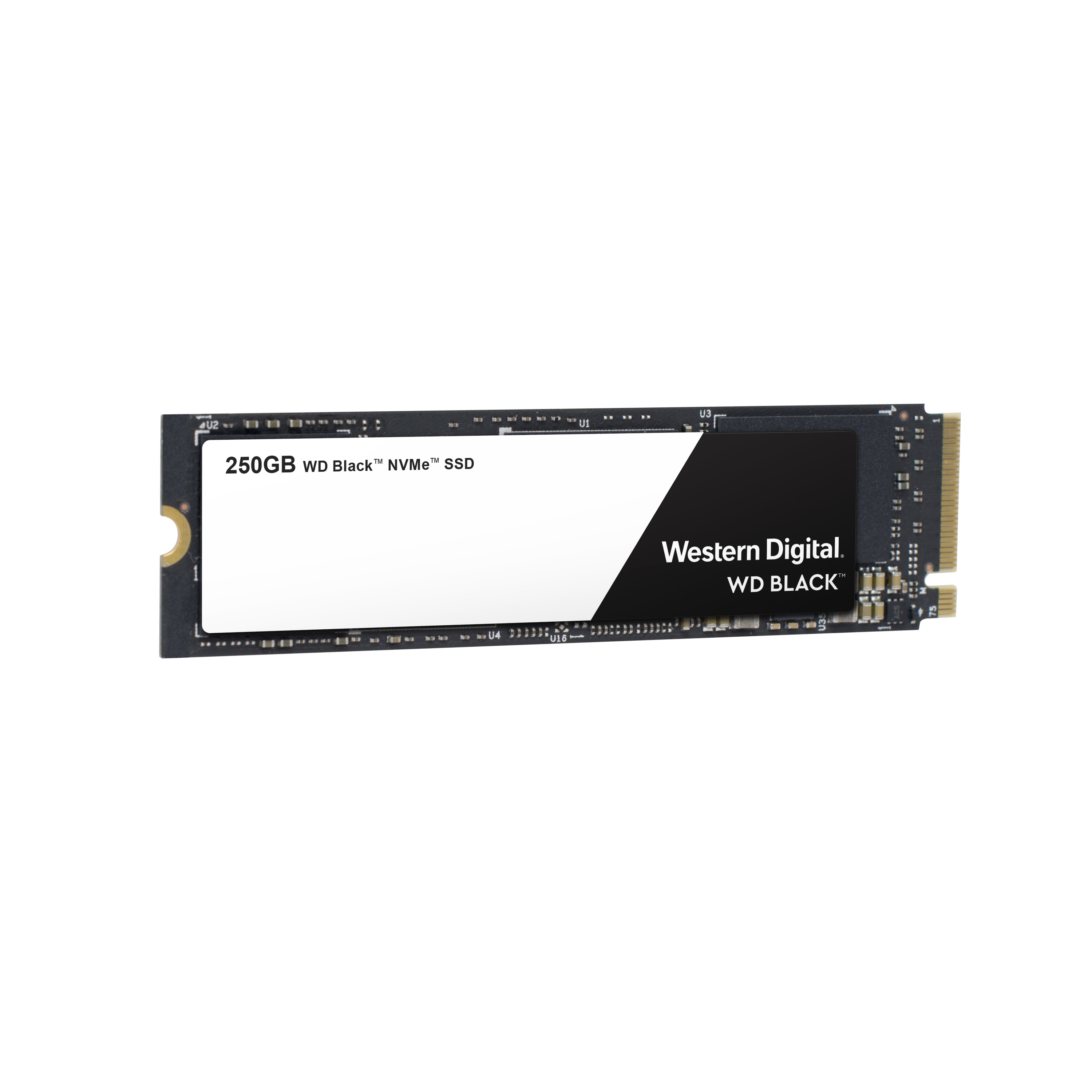 WD WDS250G2X0C