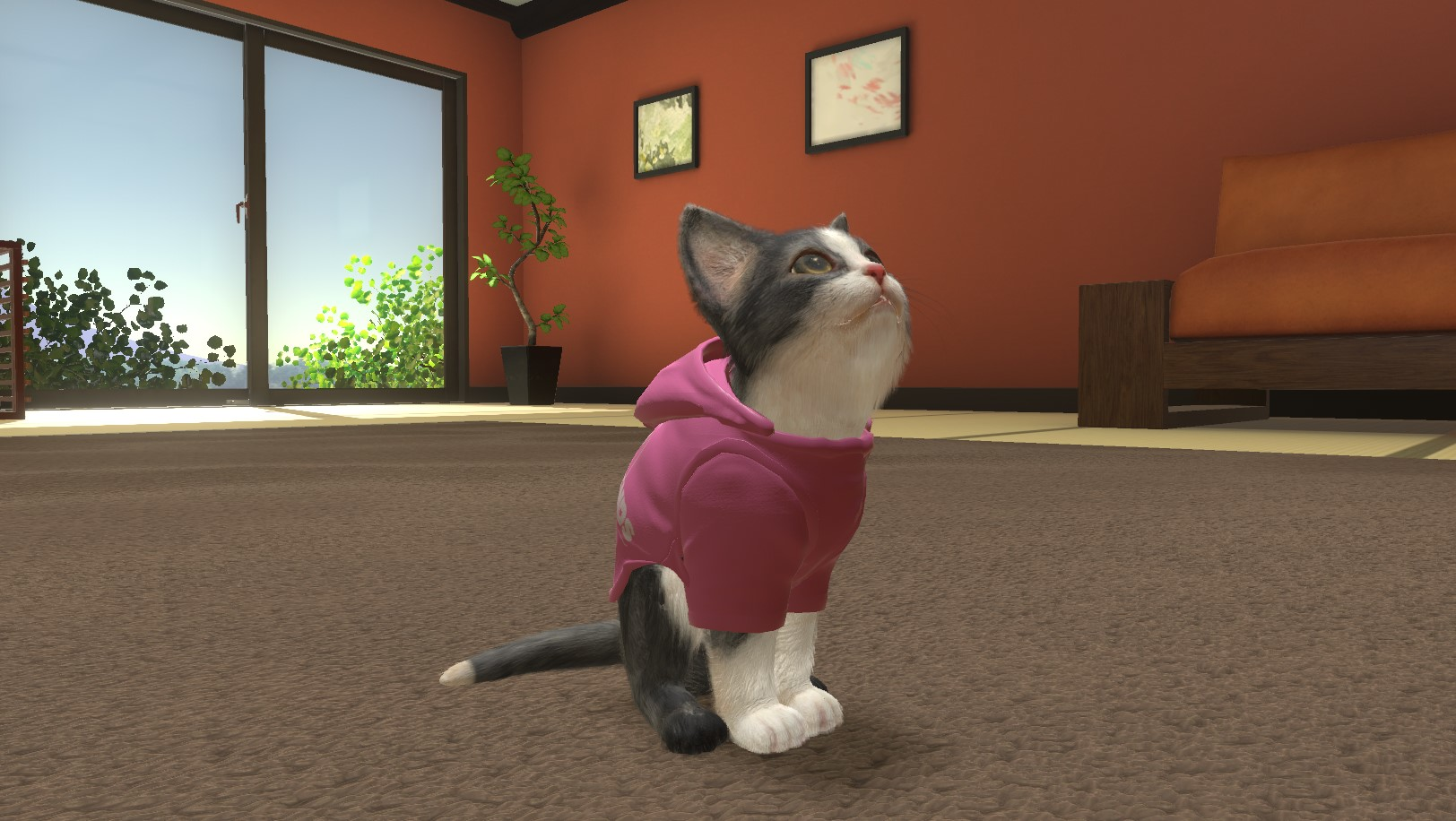 Katze trägt einen rosa Kapuzenpullover und sitzt auf einem braunen Teppich. Der Hintergrund zeigt einen Raum.