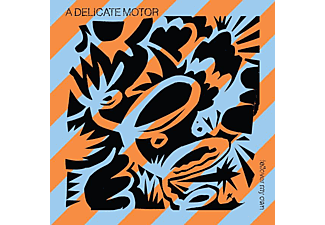 A Delicate Motor - Fellover My Own  - (Vinyl)