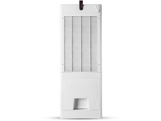 DUUX Flow Air Cooler