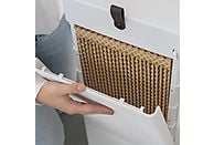 DUUX Flow Air Cooler